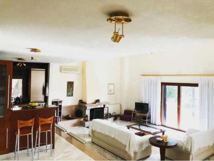 Bright & Spacious Seaview Villa Szíviri Kültér fotó